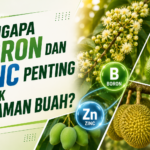 Kenapa Pohon Sudah Besar Tapi Tidak Mau Berbuah?
