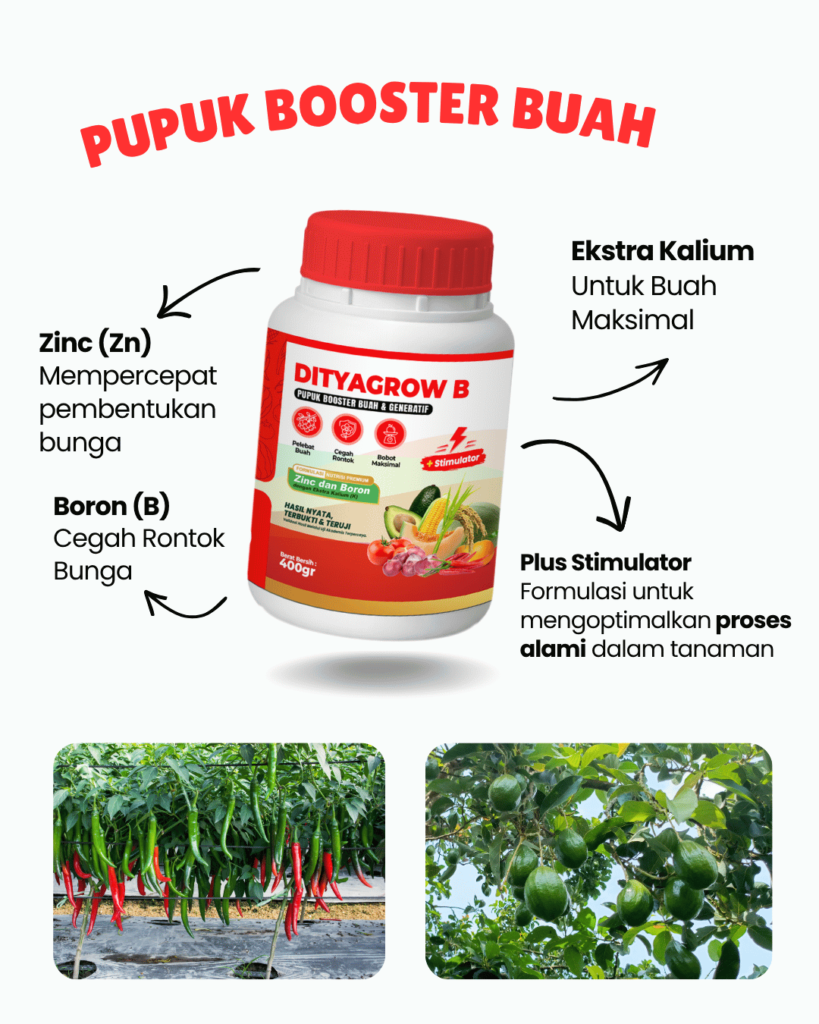 dityagrow pupuk booster buah