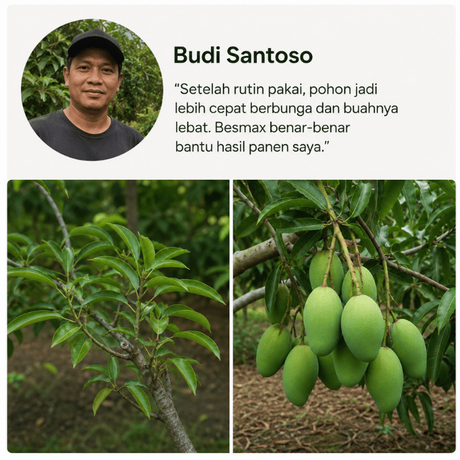 Desain tanpa judul (12)